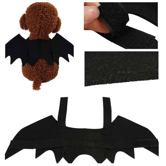 Alas de Murciélago en Fieltro para Mascotas - Decoración Halloween - Image 8