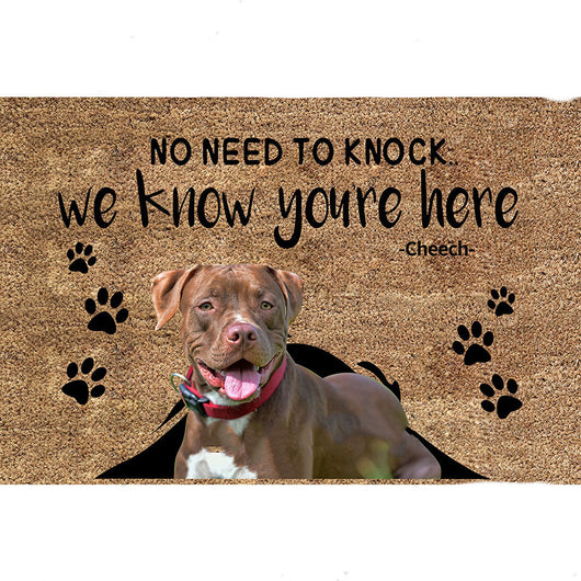 Tapete Personalizado para Gatos y Perros con Nombre - Image 13