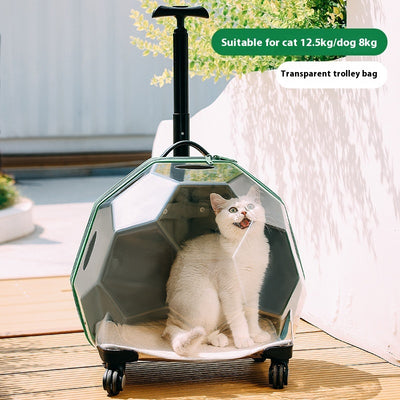 Carrito Transportín para Mascotas - Maleta Cápsula Espacial Transparente Grande - Image 6