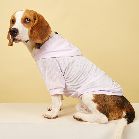 Ropa de Protección Solar para Mascotas - Colección Verano - Image 6