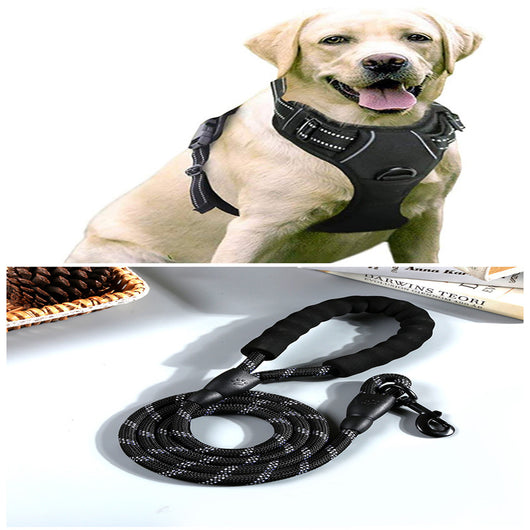 Chaleco Arnés para Perros Grandes con Correa Integrada - Image 20
