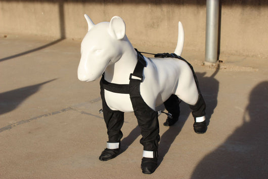 Protectores de Patas Impermeables para Perros - Zapatos Antideslizantes - Image 13