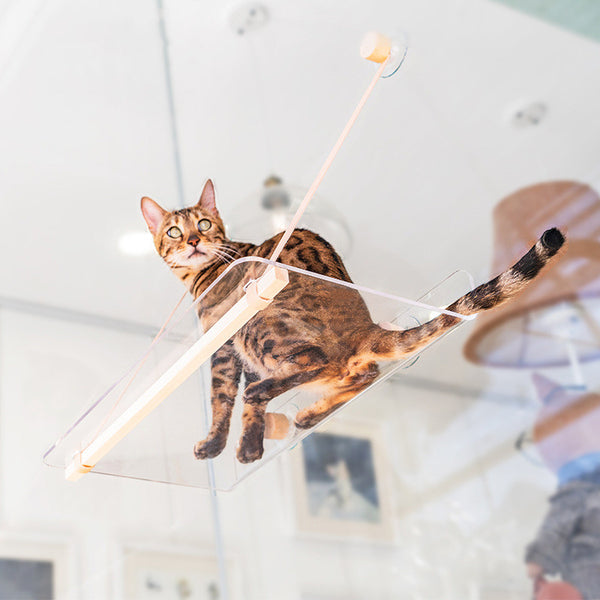 Cama Colgante Transparente para Gatos con Ventosas