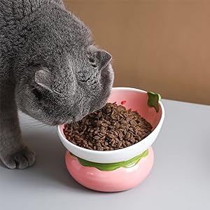 Comedero Elevado de Cerámica para Gatos - Diseño Ergonómico Anti-Vómito Rosa - Image 20