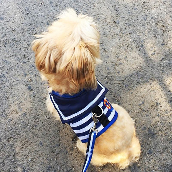 Arnés de Tracción para Perros con Correa Pectoral