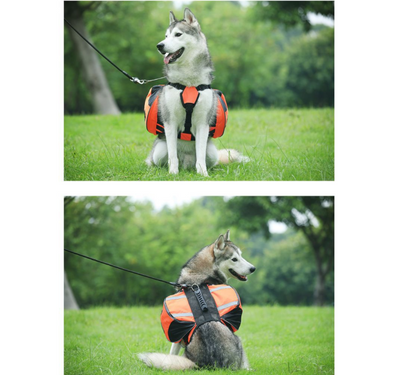 Mochila Oxford para Mascotas con Compartimiento de Transporte - Image 6