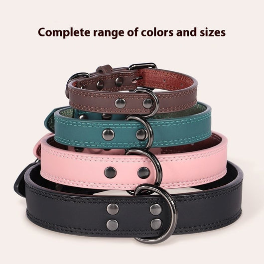 Teal leather pet collar with white stitching, dark metal buckle, and D-ring, displayed on a brown surface. - Image 4
