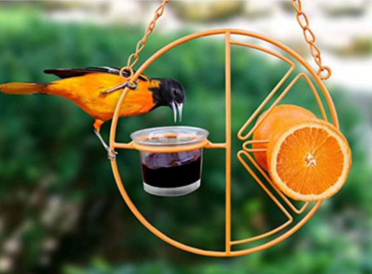 Soporte Metálico Colgante para Comedero de Colibríes - Image 10