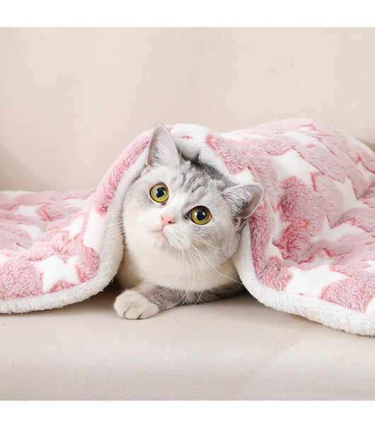 Cama Térmica Acolchada para Perros y Gatos - Colchoneta Cálida Invierno - Image 34