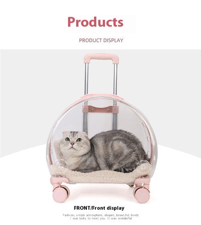 Mochila Transportadora Transparente para Gatos y Mascotas Pequeñas - Image 13