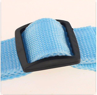 Collar Luminoso para Perros Fashion - Seguridad y Estilo - Image 16