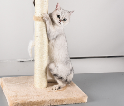 Árbol Rascador de Sisal para Gatos Pequeños y Medianos - Image 5