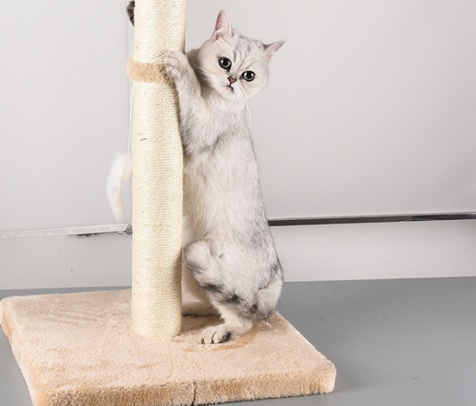 Árbol Rascador de Sisal para Gatos Pequeños y Medianos - Image 5