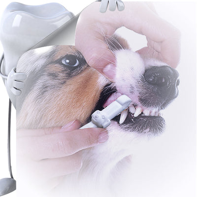 Toallitas Limpiadoras de Dientes para Mascotas - Herramienta Portátil de Higiene Bucal - Image 10