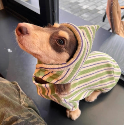 Chaleco Térmico para Perros - Abrigo Otoño Invierno - Image 9