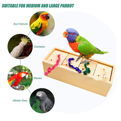 Wooden bird puzzle training toy set with a treat box, mini skateboard, and colorful ring toss game. - Image 3