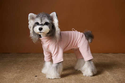 Playera Térmica para Perros Schnauzer y Bichón - Cómoda y Abrigadora - Image 33