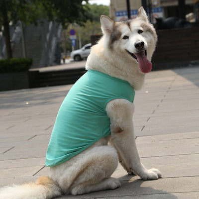Chaleco y Camiseta para Perro XS-5XL | Ropa Fresca para Perros Pequeños - Image 24