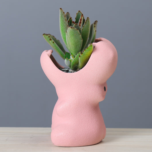Maceta Creativa de Suculentas con Diseño Floral - Image 8