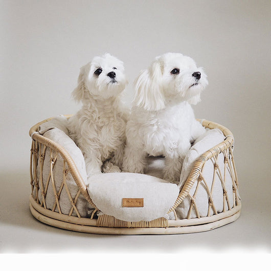 Cama para Mascotas de Ratán Tejido a Mano - Sofá Cómodo para Perros - Image 7