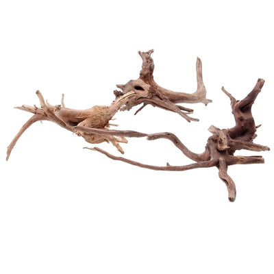 Raíz de Árbol Sumergida para Acuario - Decoración Natural de Madera - Image 8
