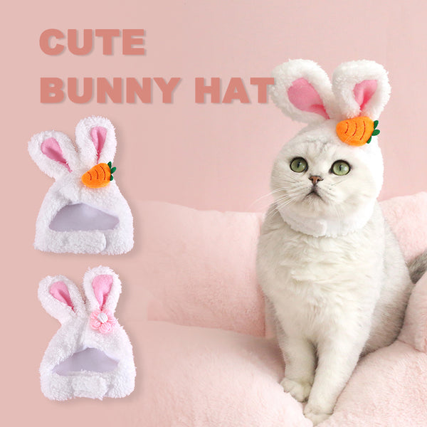 Gorro Divertido con Orejas de Gato, Perro y Conejo para Mascotas y Decoración Pascual