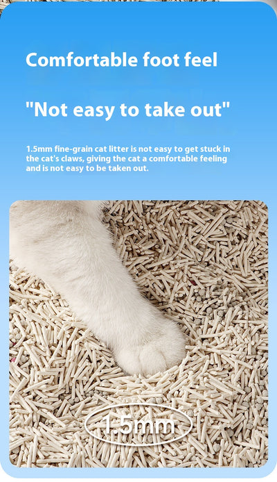 Arena Aglomerante para Gatos con Aroma Fresco - Económica y Efectiva - Image 20