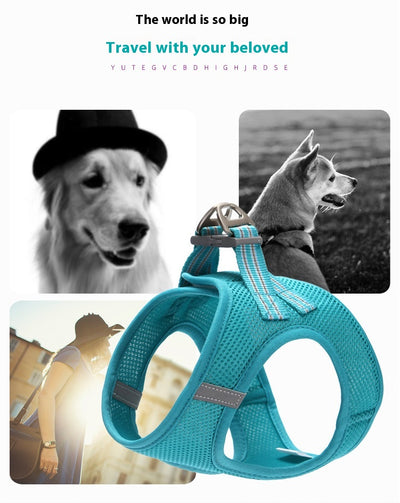 Arnés de Malla Transpirable con Correa para Gatos y Perros Pequeños - Image 19