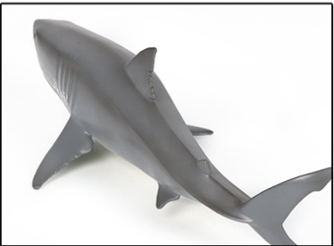Juguete Modelo Realista de Tiburón Blanco para Niños - Image 9