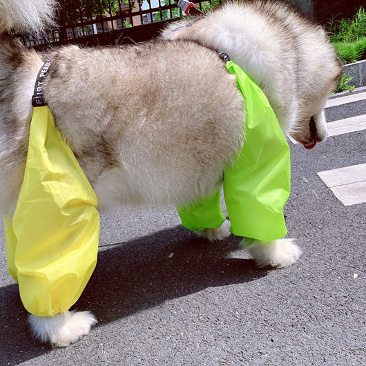 Impermeable Ajustable para Perros de Cuatro Patas - Image 3