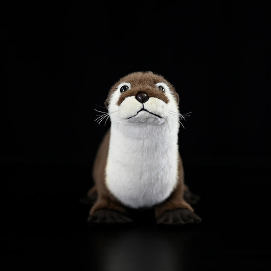 Peluche Nutria Adorable - Image 3