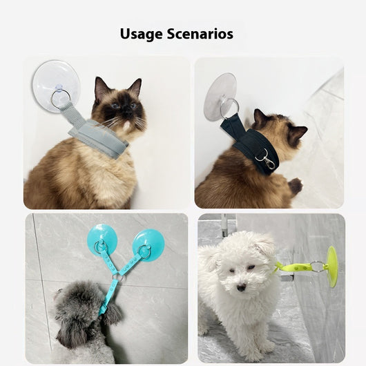Kit Completo de Baño y Aseo para Mascotas - Soporte Antiarañazos con Accesorios de Limpieza - Image 5