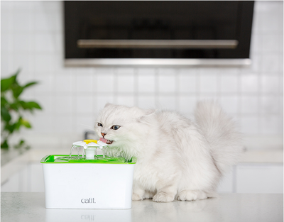 Fuente de Agua para Gatos con Filtro - Image 11