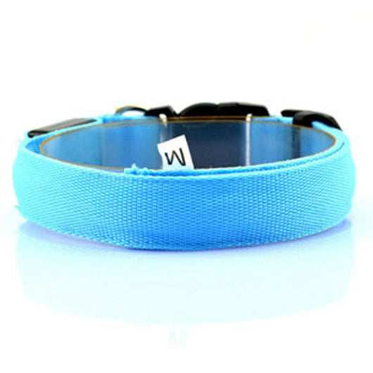 Collar Luminoso Fluorescente para Perros - Image 4