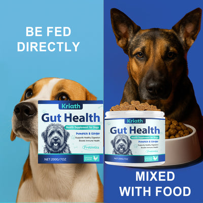 Gránulos Blandos para la Salud Intestinal Canina