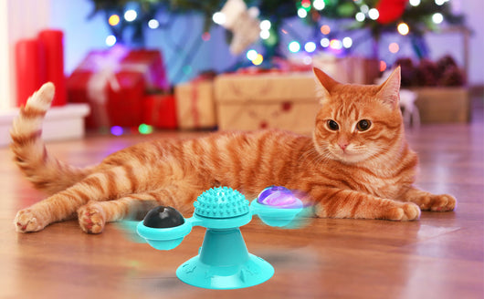 Juguete Interactivo para Gatos con Catnip, Luz LED y Ventosa - Image 19