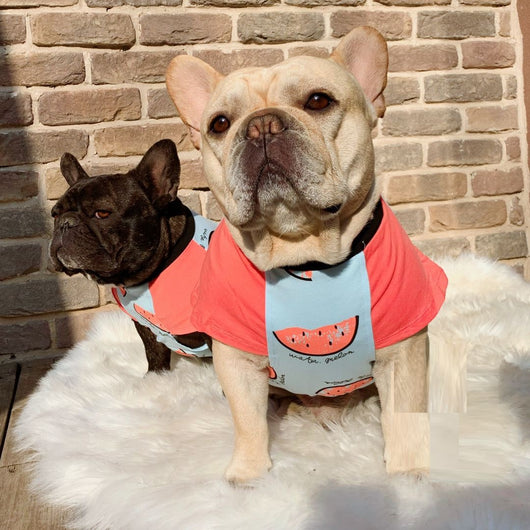 Ropa Fresca de Algodón para Perros - Manga Corta Primavera y Otoño