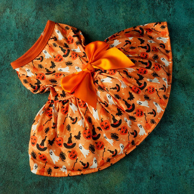 Disfraz de Fiesta Halloween para Mascotas - Image 6