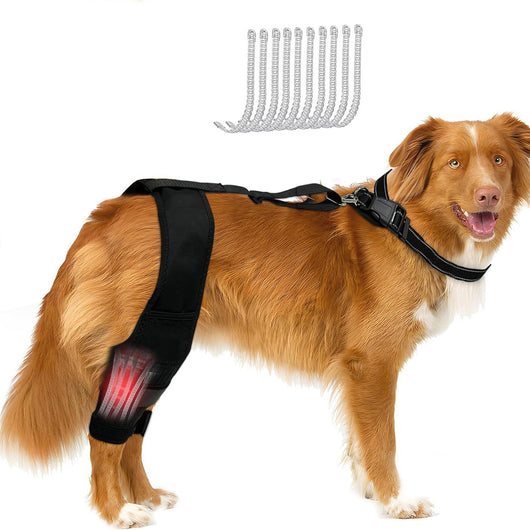Protector de Rodilla para Perros - Soporte Articular y Cinturón de Protección