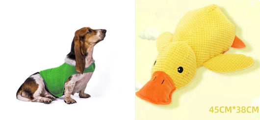 Chaleco Calmante para Mascotas - Ropa Terapéutica Antiansíedad para Gatos y Perros - Image 14