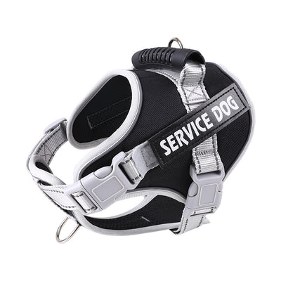 Arnés Pectoral Antiexplosión para Perros con Correa de Seguridad - Image 8