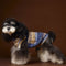 Chaleco Sin Mangas para Mascotas Schnauzer Bichón Rayas Arcoíris Variegadas