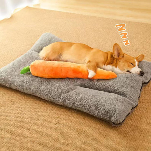 Juguete Masticable de Zanahoria Suave con Sonido Chirriante para Perros - Image 12
