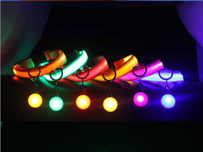 Collar Luminoso para Perros Fashion - Seguridad y Estilo - Image 21