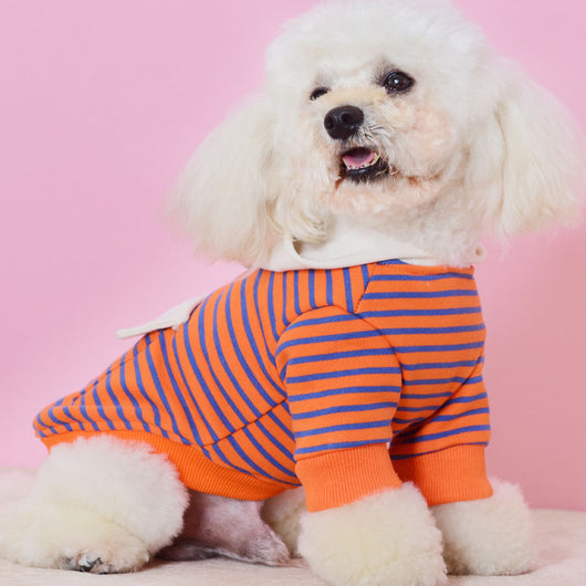 Suéter Deportivo con Capucha para Perros Pequeños - Diseño a Rayas - Image 13