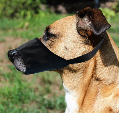 Bozal Antiladridos Impermeable para Perros - Control Suave y Seguro - Image 10