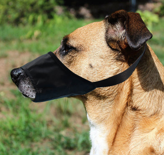 Bozal Antiladridos Impermeable para Perros - Control Suave y Seguro - Image 10