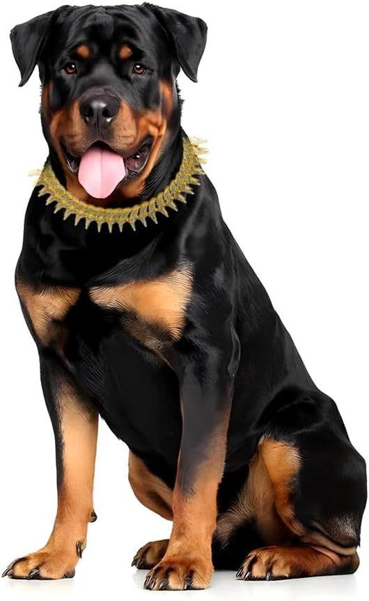 Collar Diamante para Mascotas Estilo Europeo y Americano - Image 11