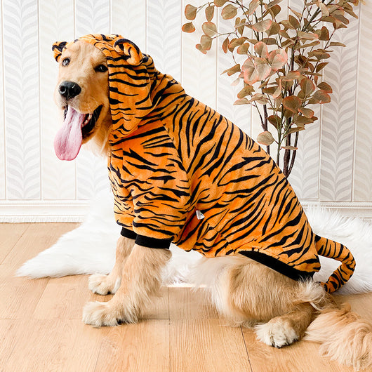 Disfraz de Tigre para Perros Golden Retriever y Mascotas