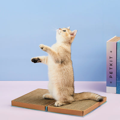 Rascador de Cartón Corrugado para Gatos - Nido Afilador de Garras - Image 7